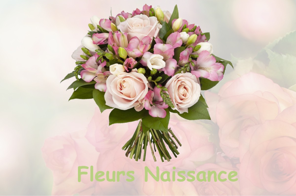 fleurs naissance FRENICHES